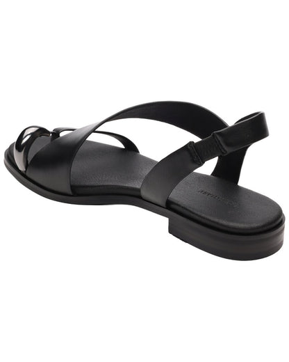BLACK-