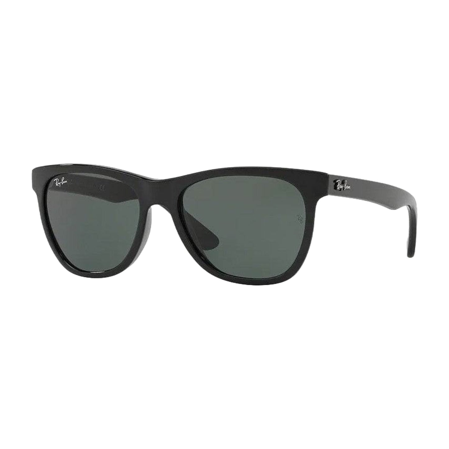 Rayban Rb4184 Polarized Sunglasses
