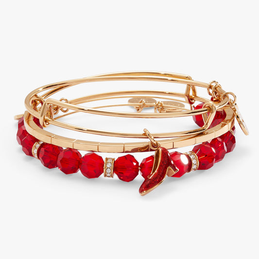 The Wizard of Oz™ Dorothy Bangles Set of 3