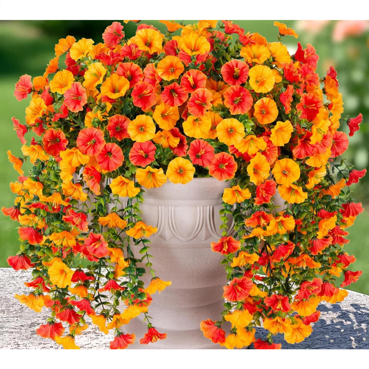 Orange and Yellow Mix-