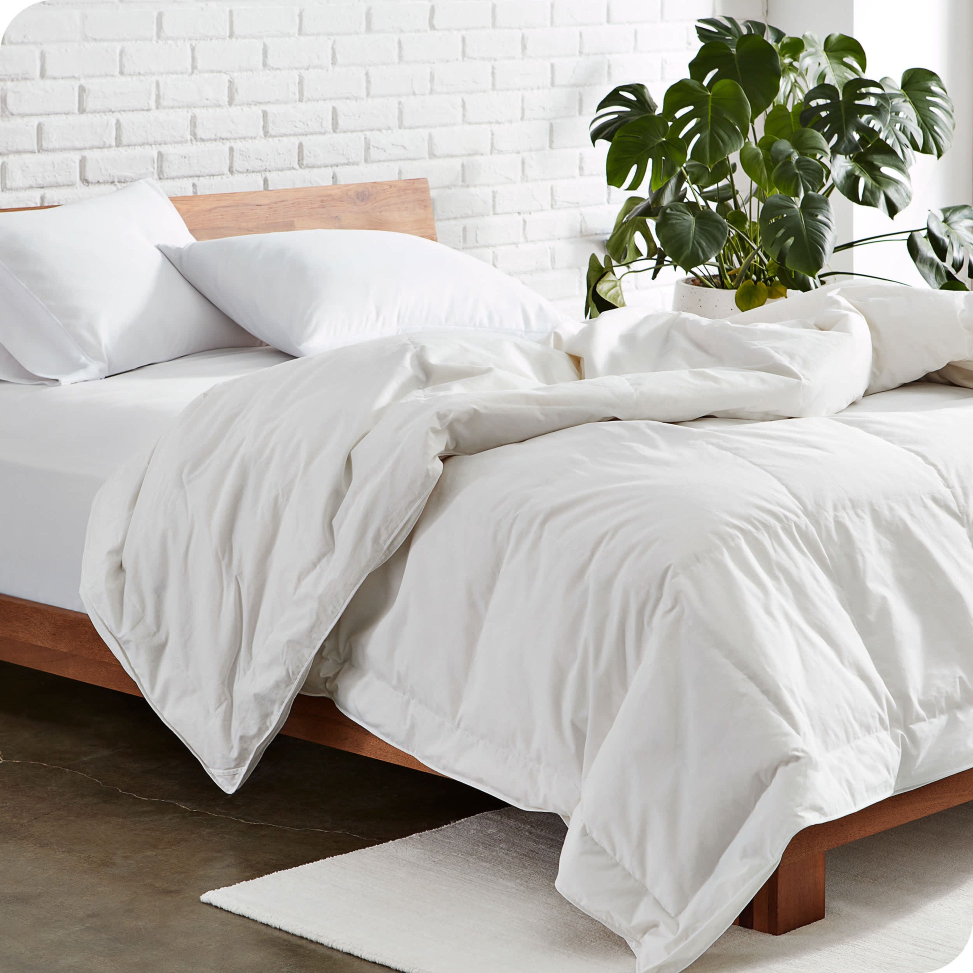 White-