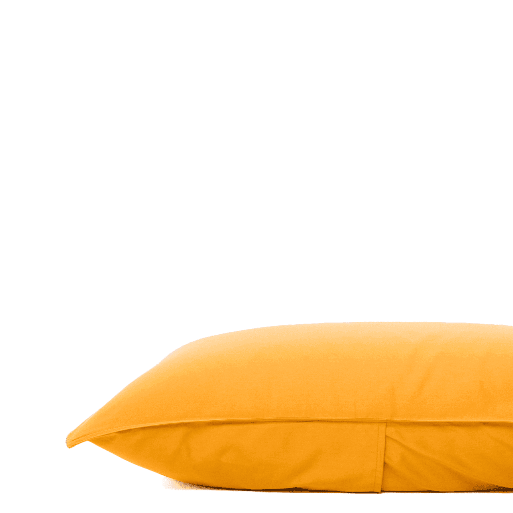 Amber-
