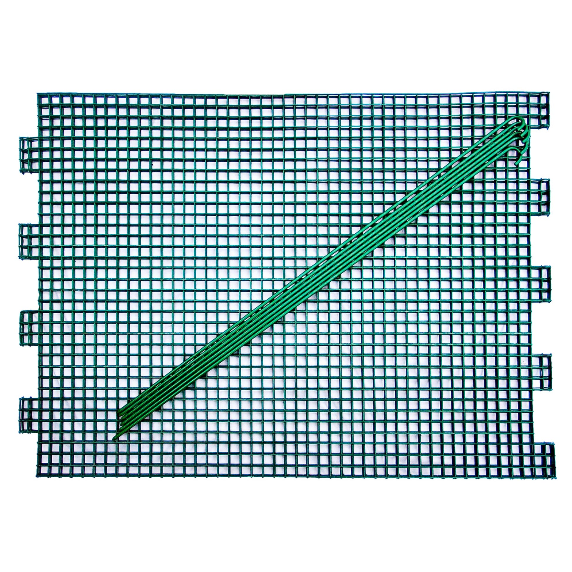 Green-