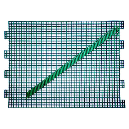 Green-