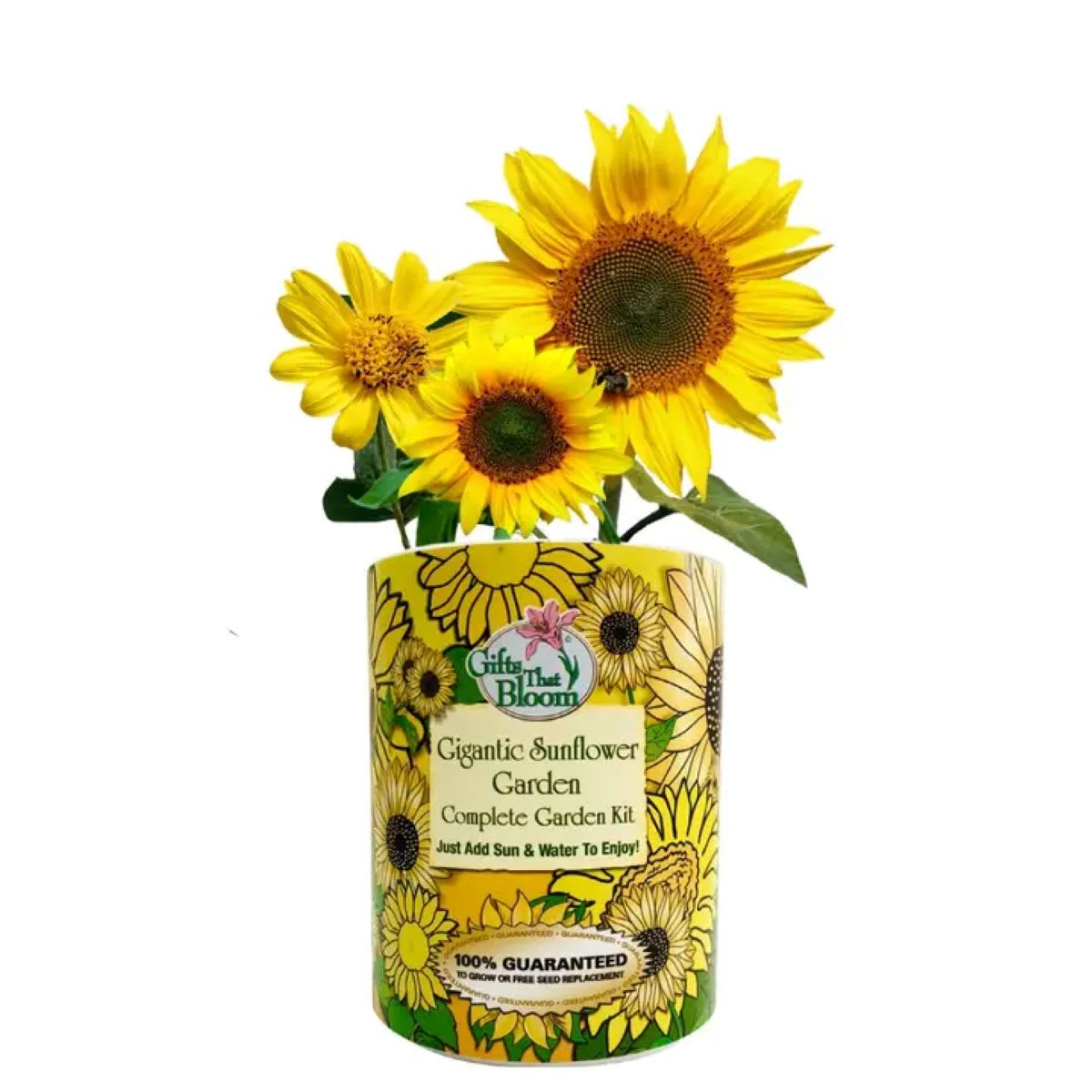 Yellow-