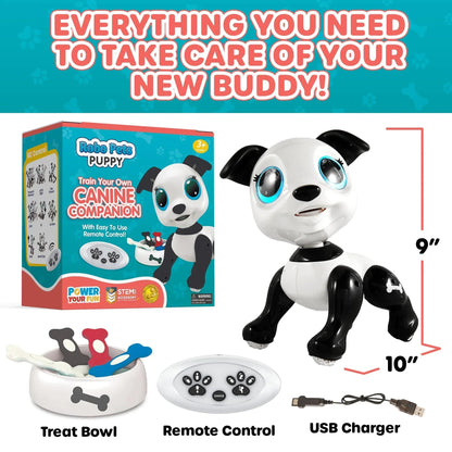 Black and white robot dog, white remoted, black, red, blue and gray food-