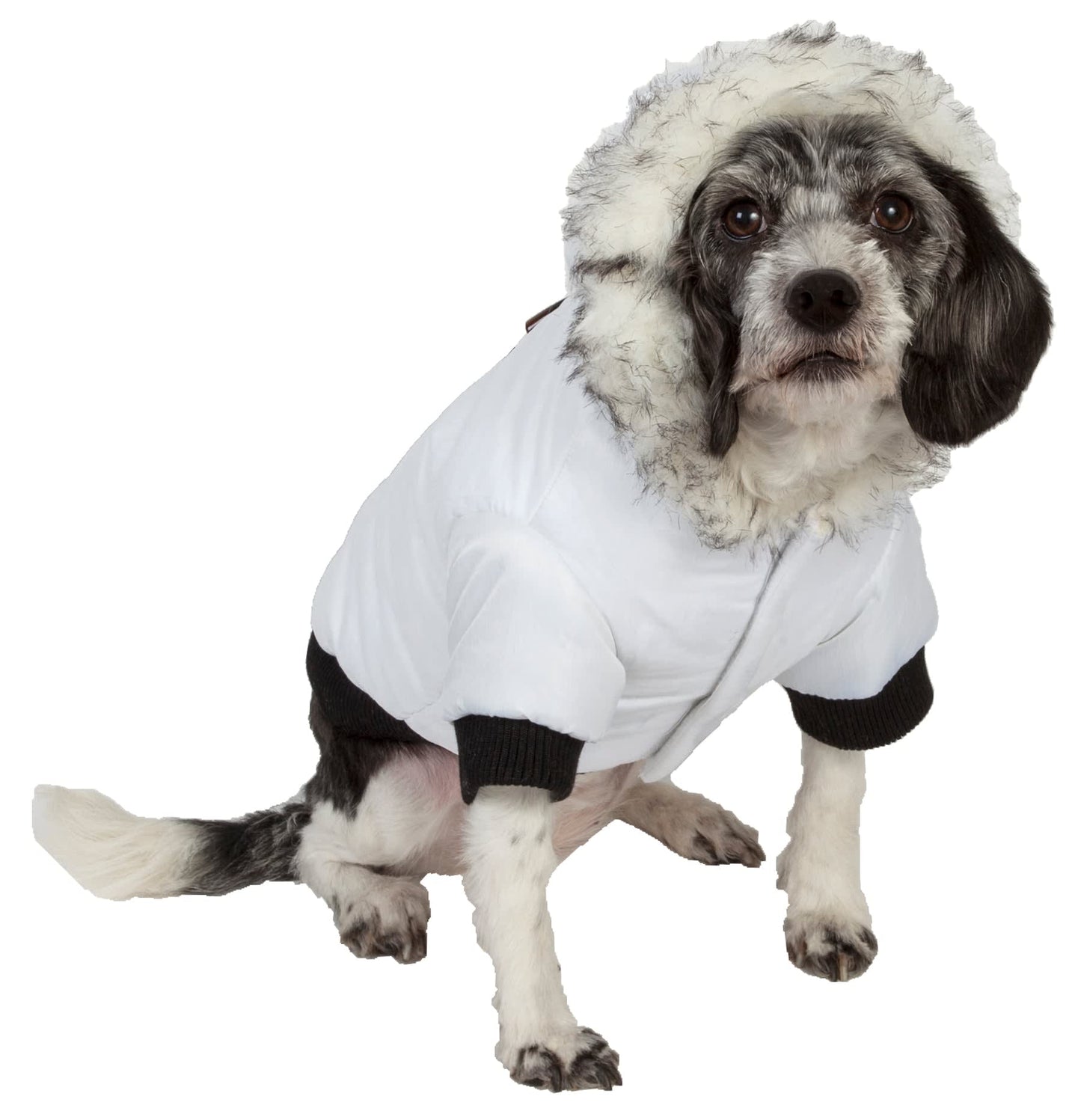 Winter White-