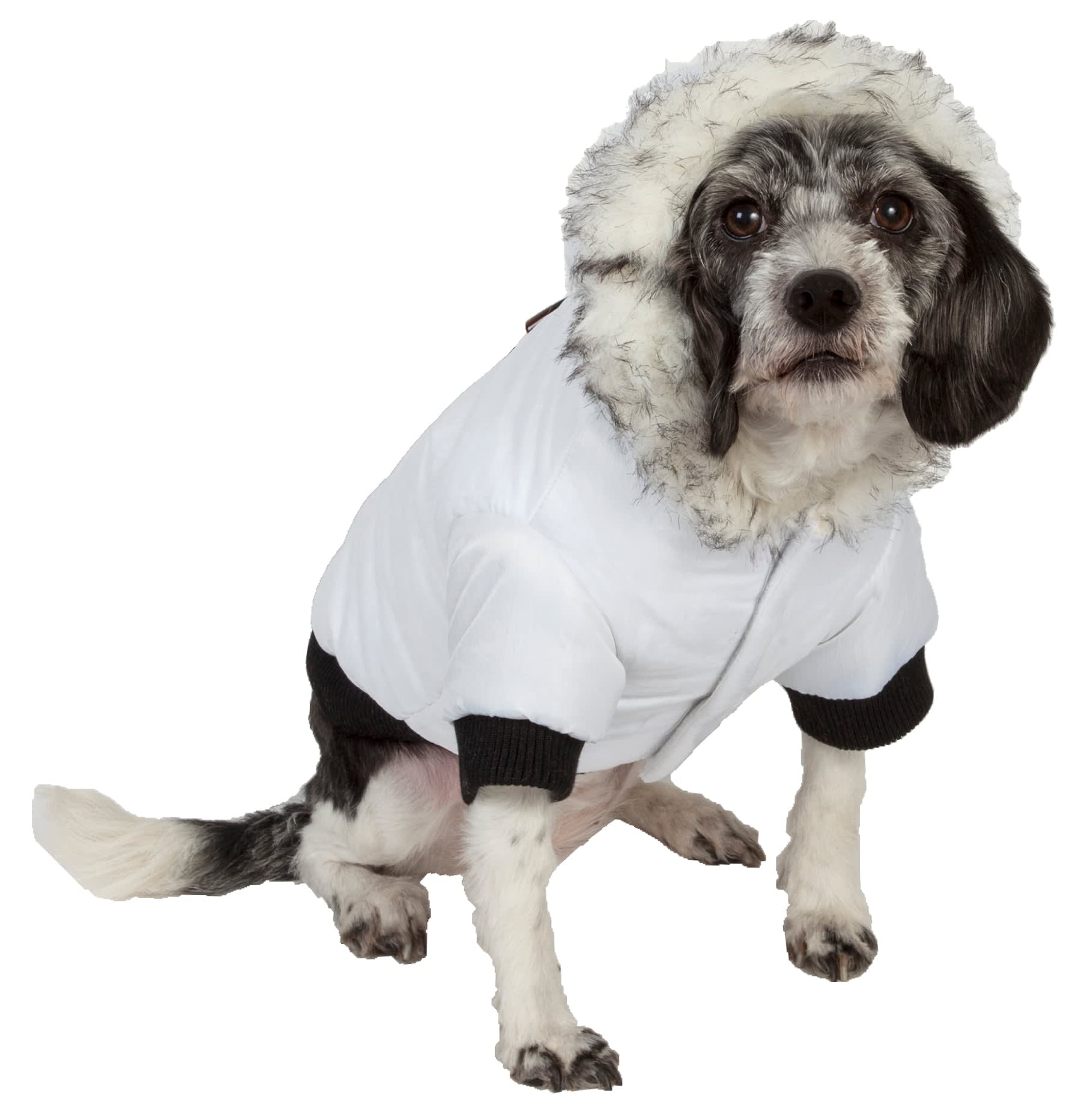 Winter White-