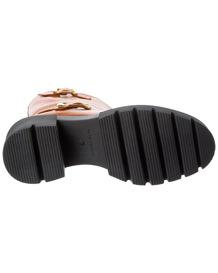 Briddle Brown-