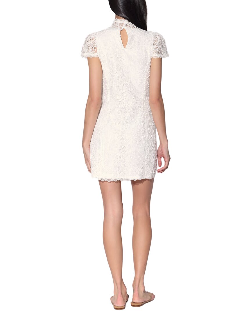 WHITE LACE-