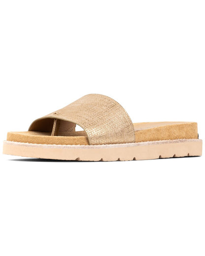 CAME-CAMEL-