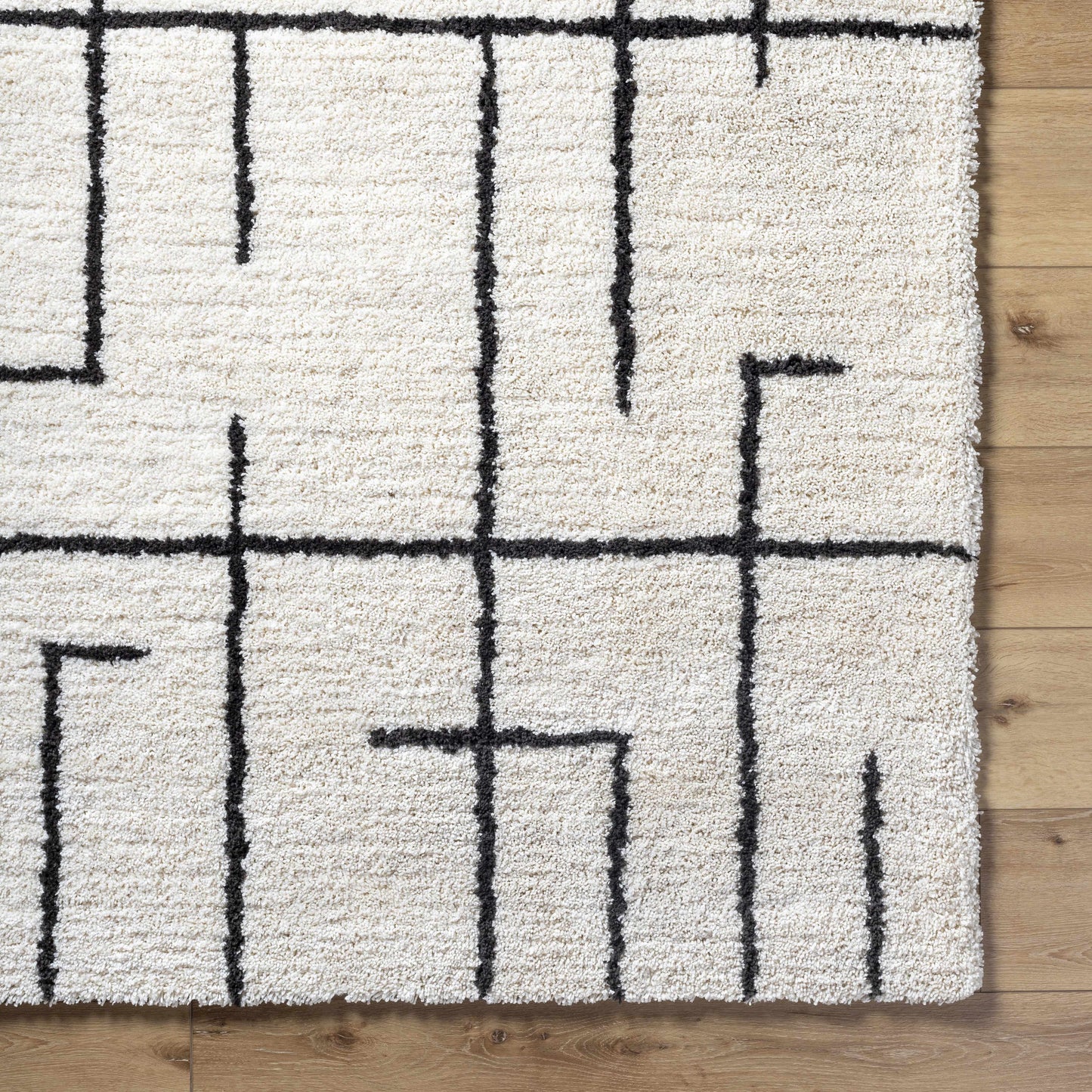 Xenos Area Rug