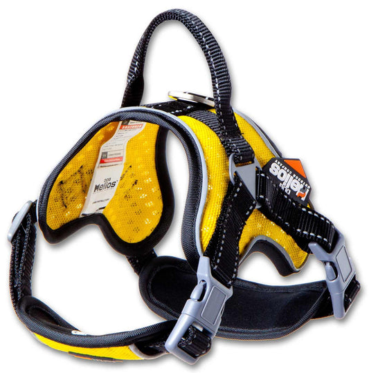 Yellow-