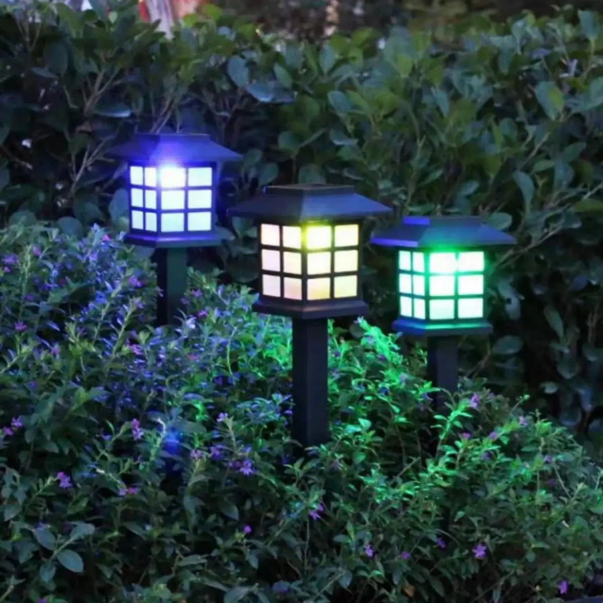 Colorful Light-