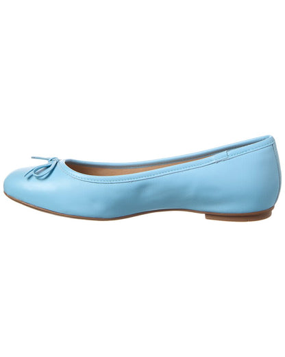 Cornflower Blue-