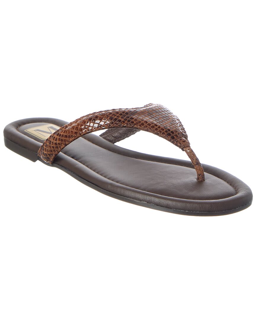 BROWN SNAKE-
