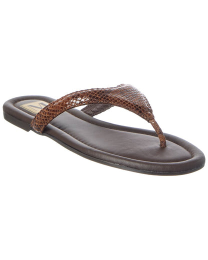 BROWN SNAKE-