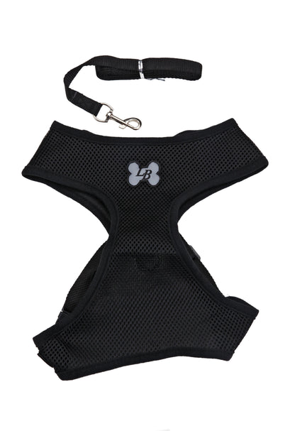 Black-