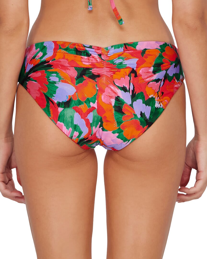 HUMMI-HUMMINGBIRD COVE-