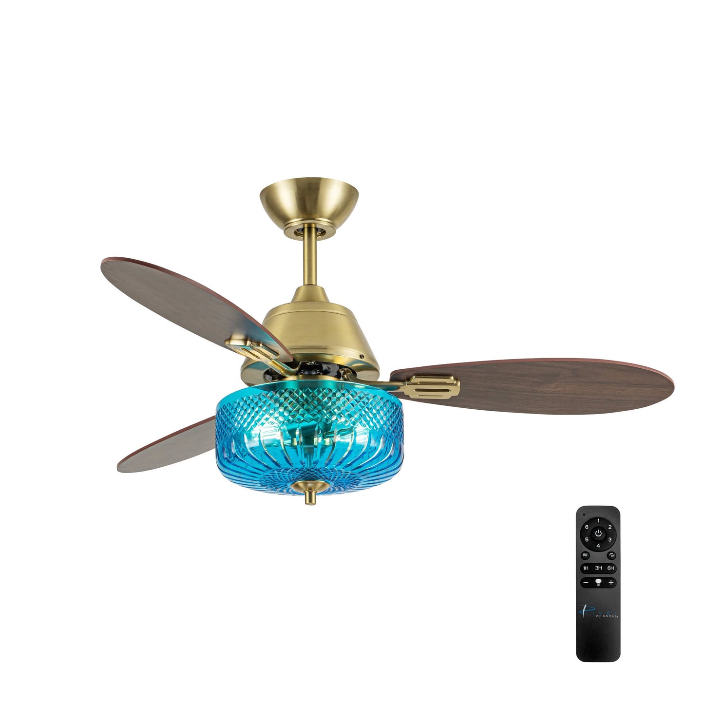 Blue/Gold-