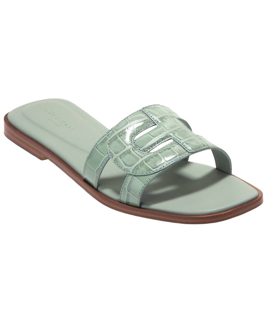 LILY PAD CROC PRNT-