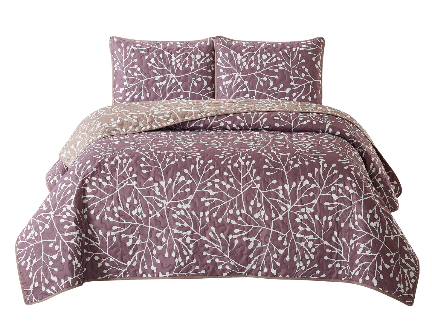 Lilac-