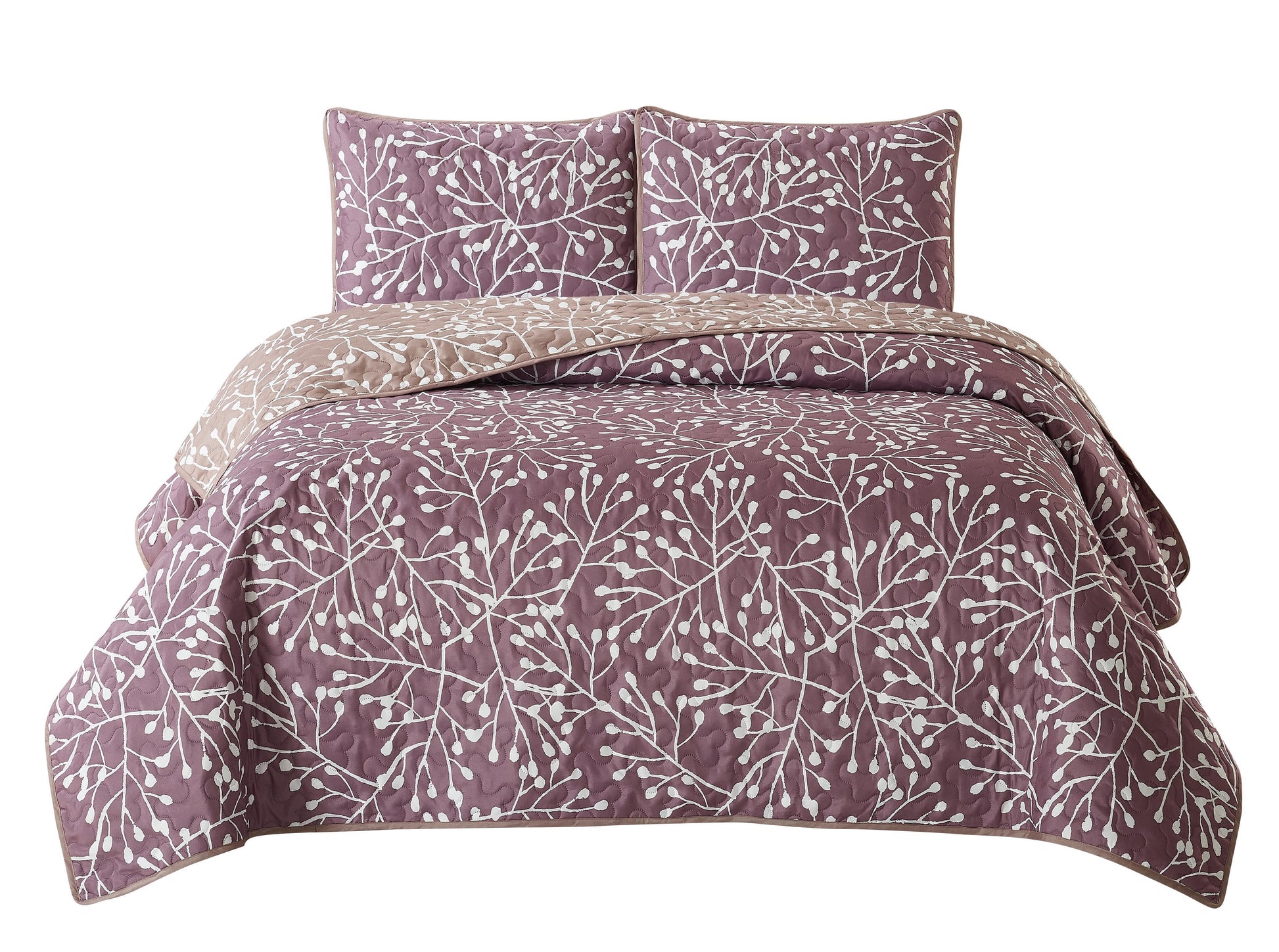 Lilac-