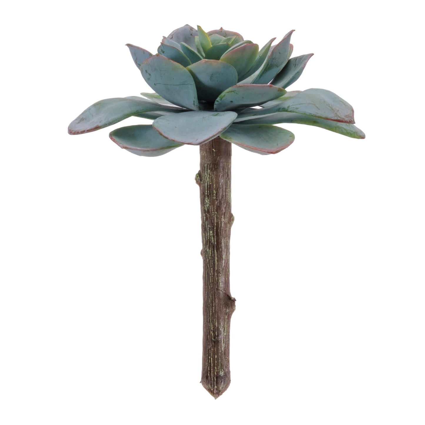 Melrose International Succulent Plant Pick (Set of 12)