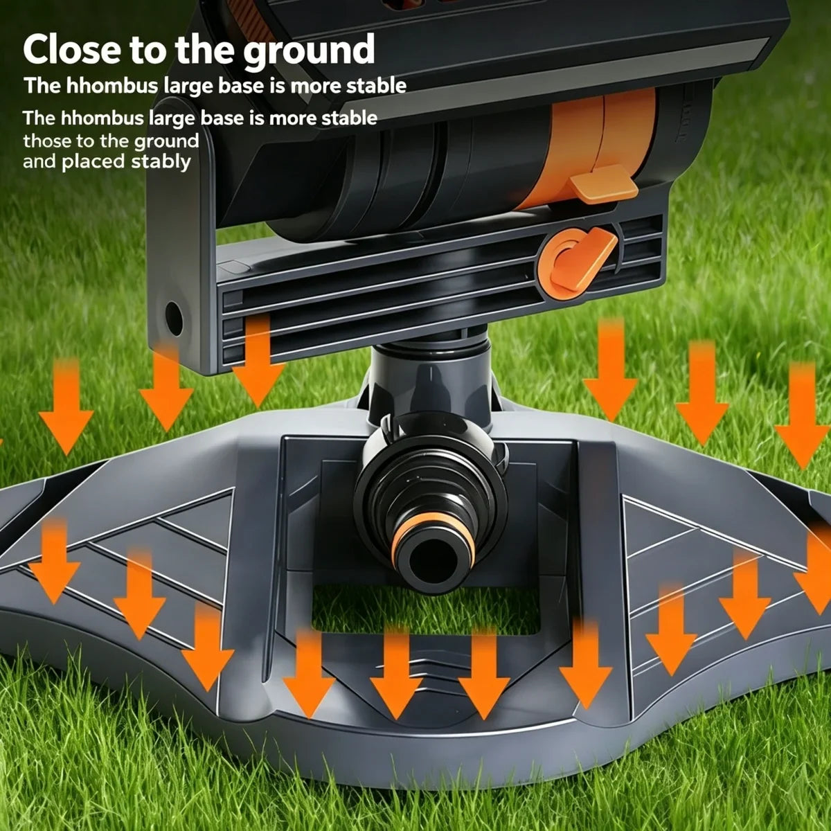 Black-