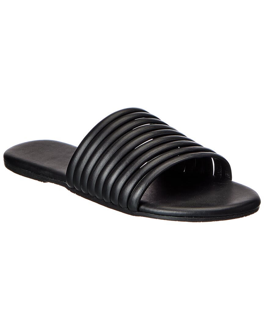 BLACK-