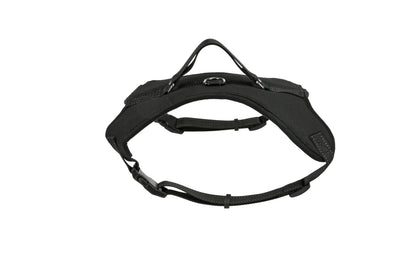 Black-