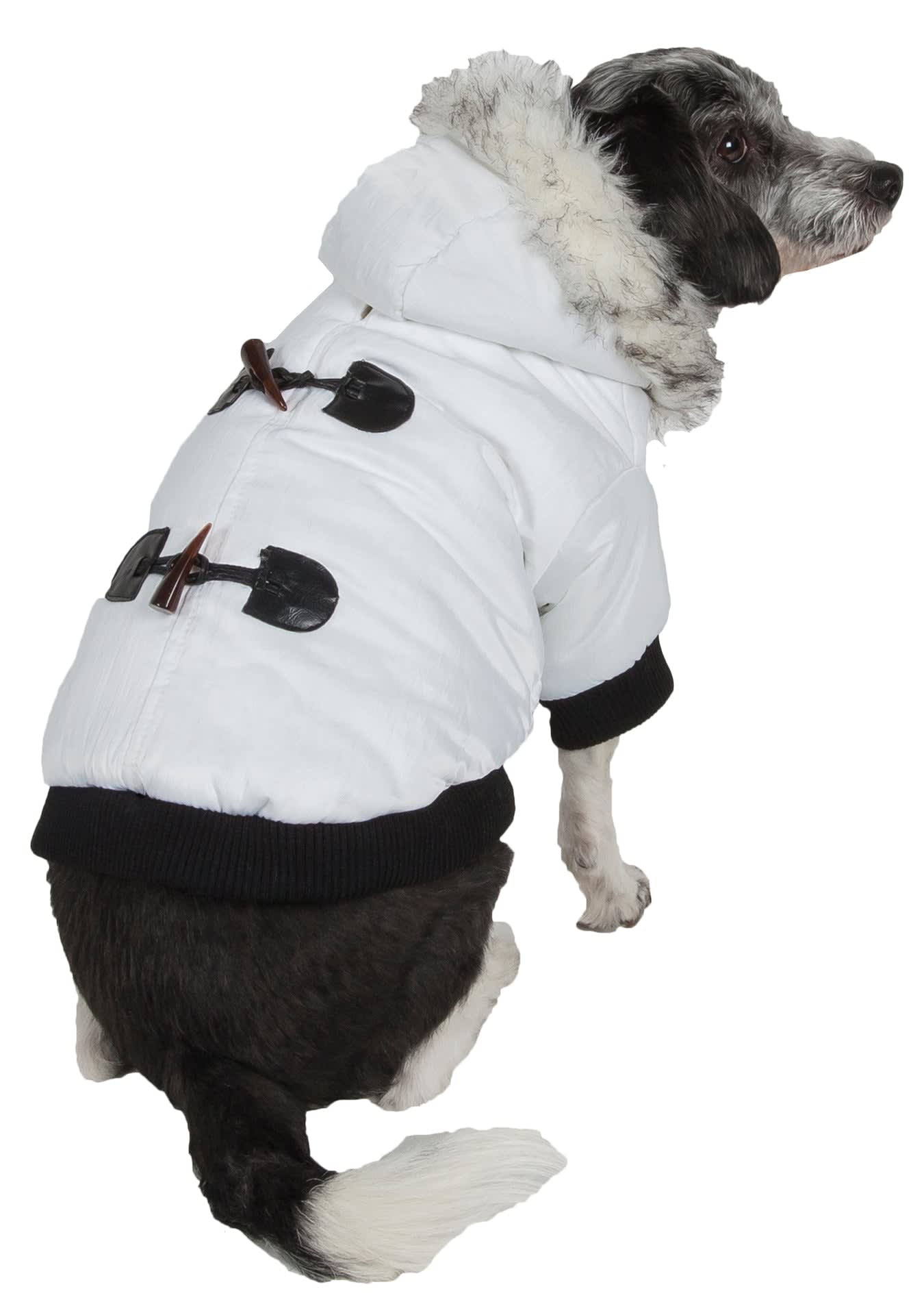 Winter White-