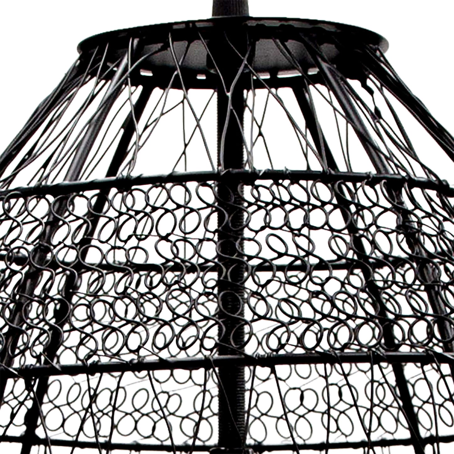 Black-