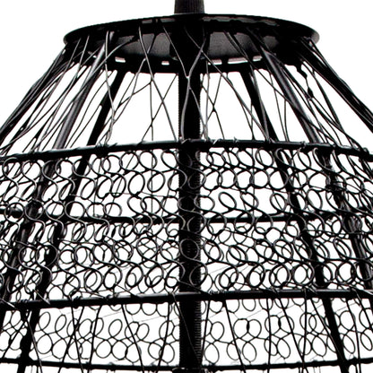 Black-