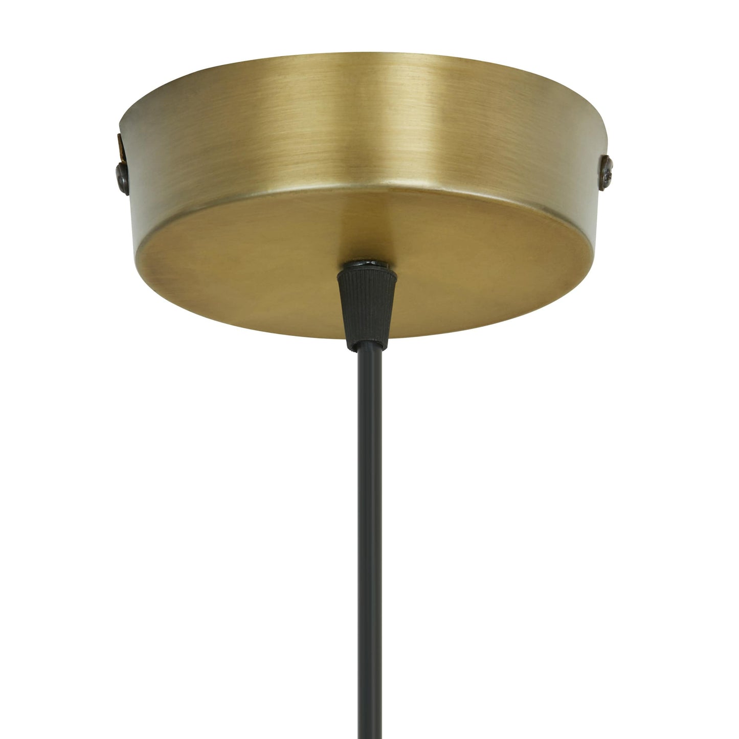 Yellow/Gold-