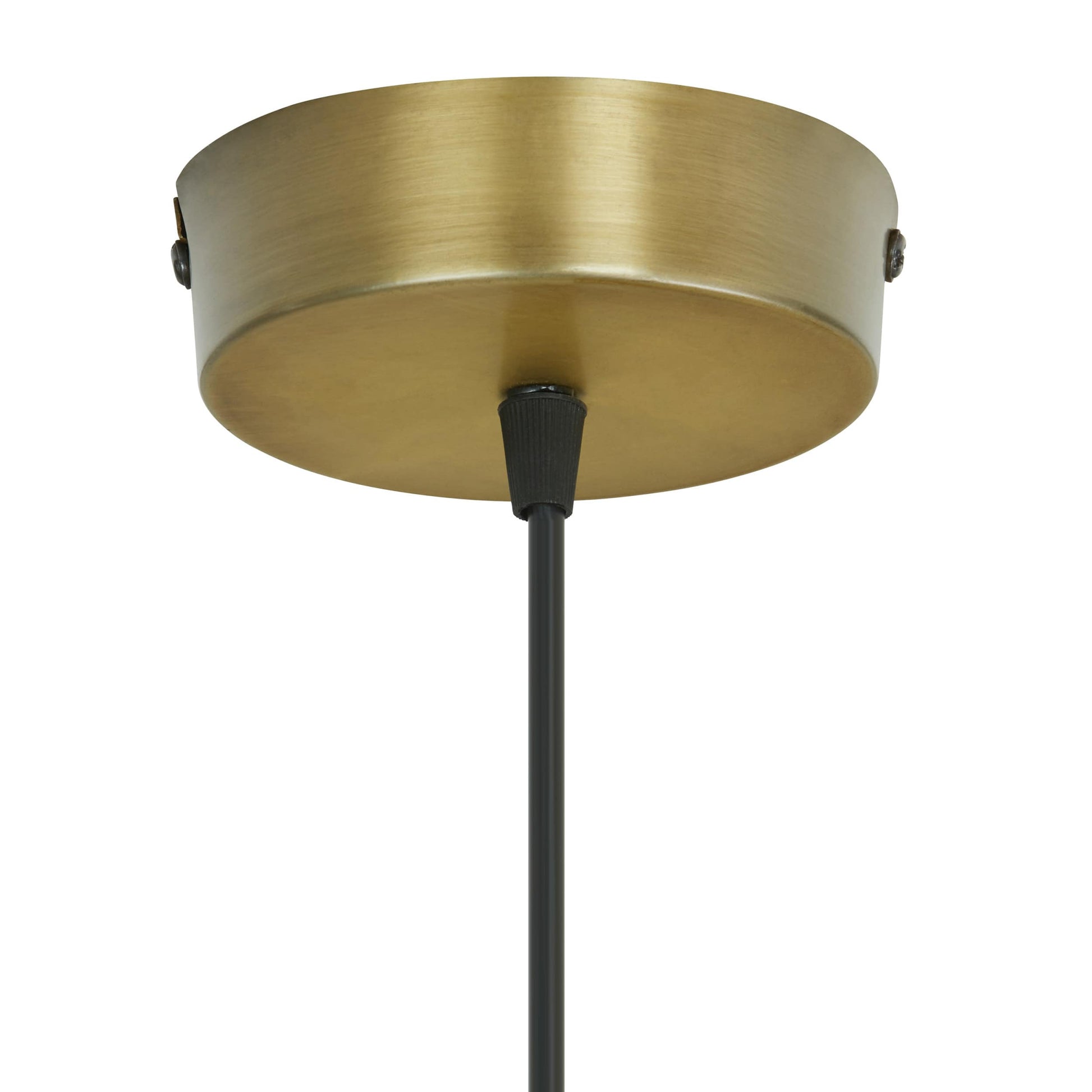 Yellow/Gold-