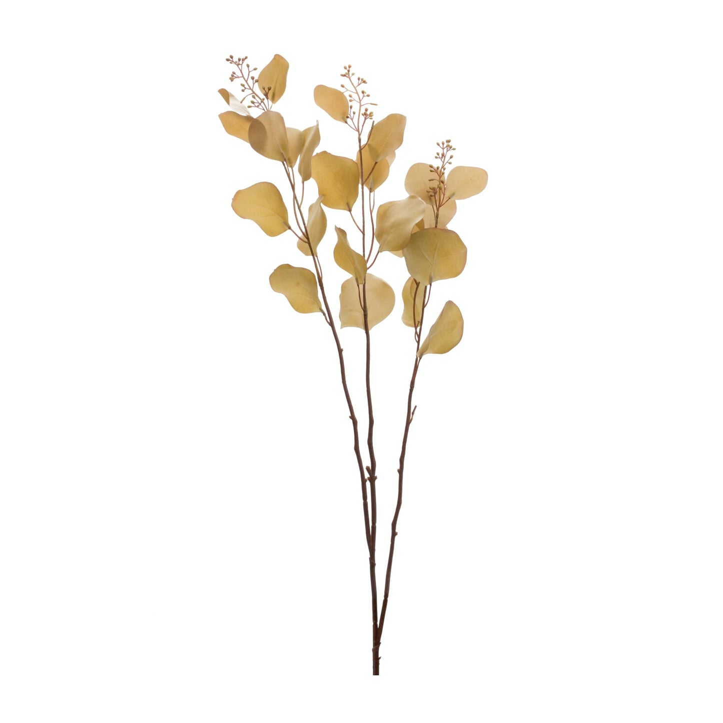 Melrose International Seeded Eucalyptus Stem (Set of 2)