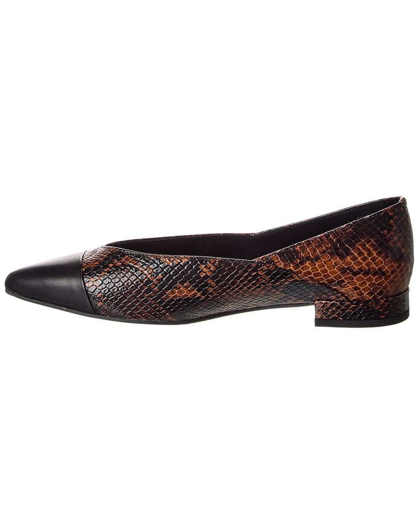 BROWN SNAKE/BLACK-