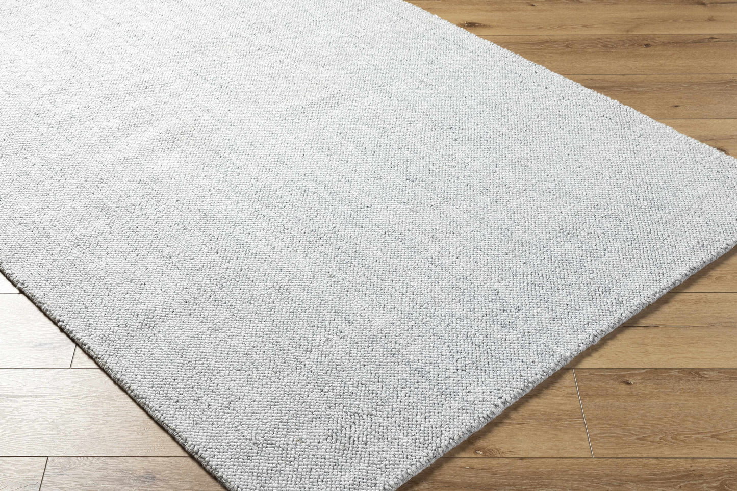 Zareh Gray Blue Solid Area Rug