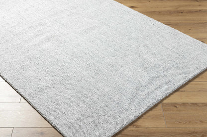 Zareh Gray Blue Solid Area Rug