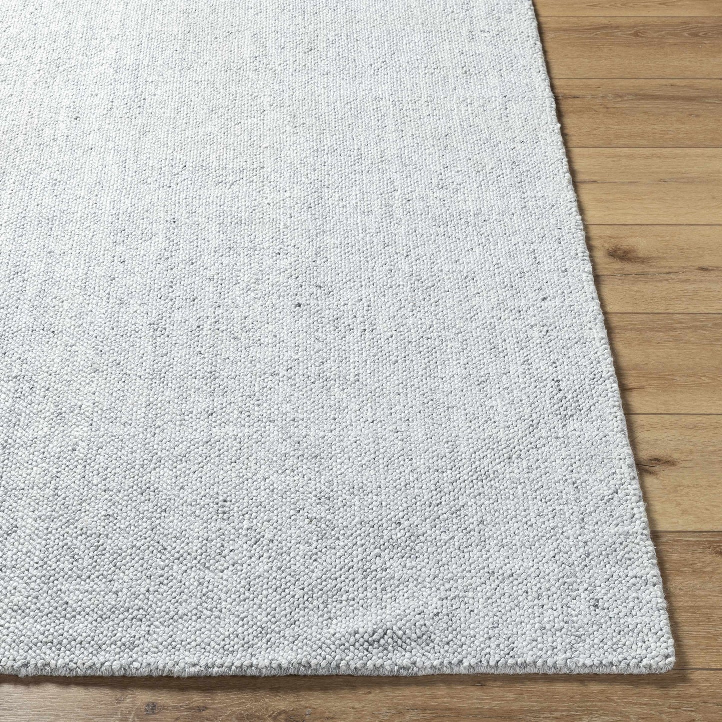 Zareh Gray Blue Solid Area Rug
