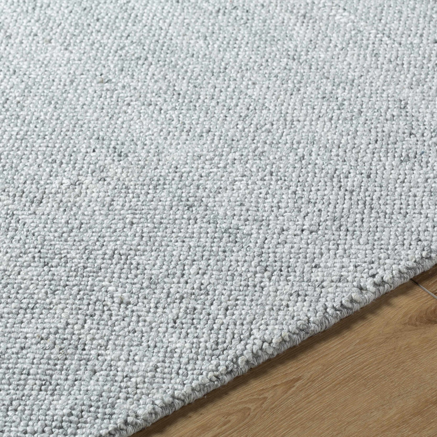 Zareh Gray Blue Solid Area Rug