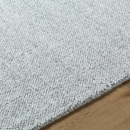 Zareh Gray Blue Solid Area Rug