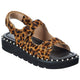 Q1R cheetahhaircalf