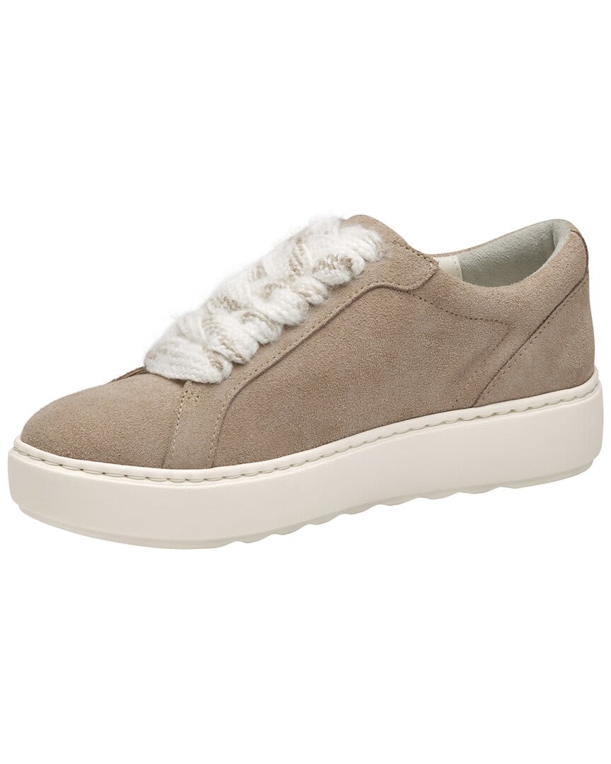 TAUPE-