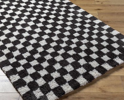 Zveha Area Rug