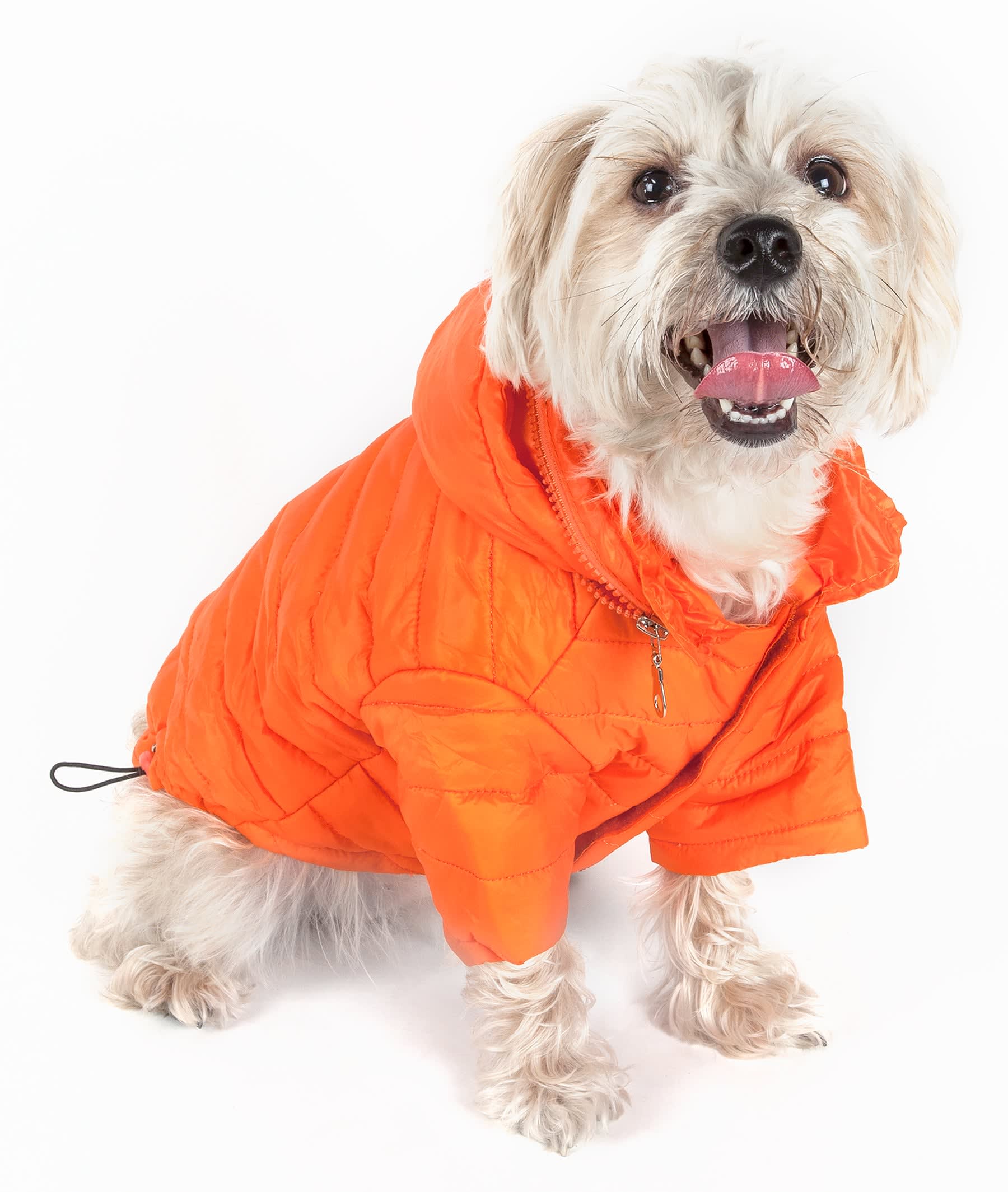 Orange-