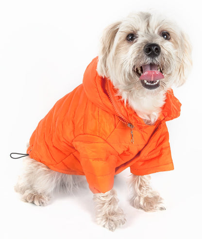 Orange-