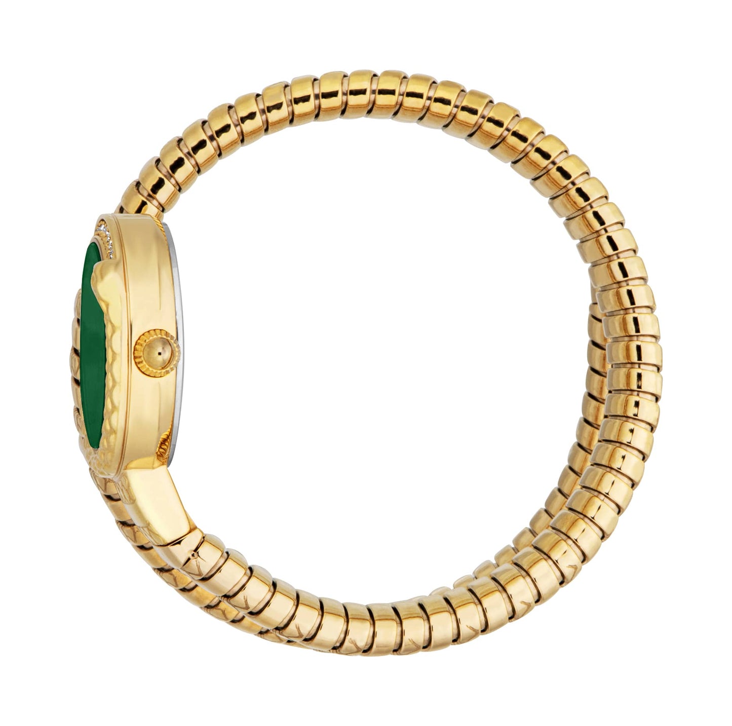 Jc1l301m0035 Just Cavalli Cerchio Snake Women’s Gold Stainless Steel Snake Watch with Green Dial