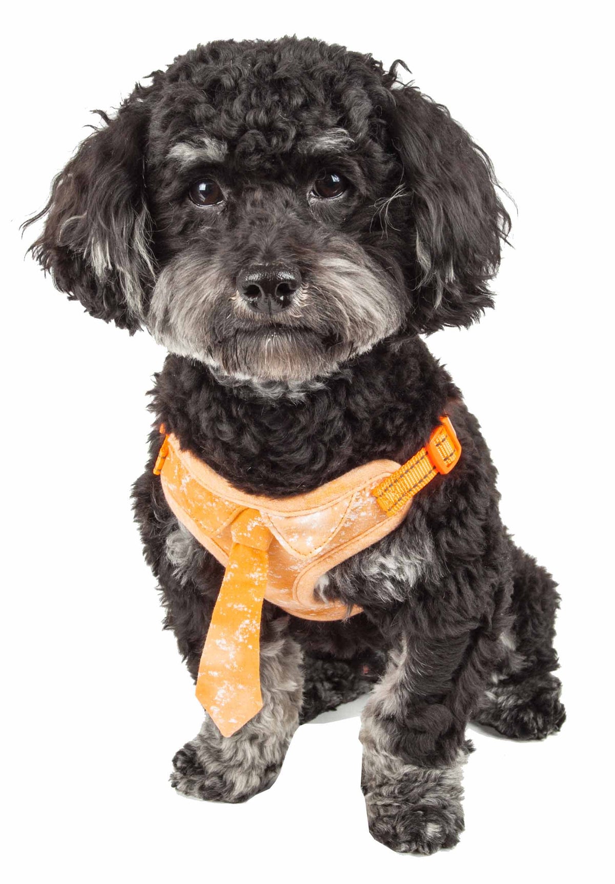 Orange-